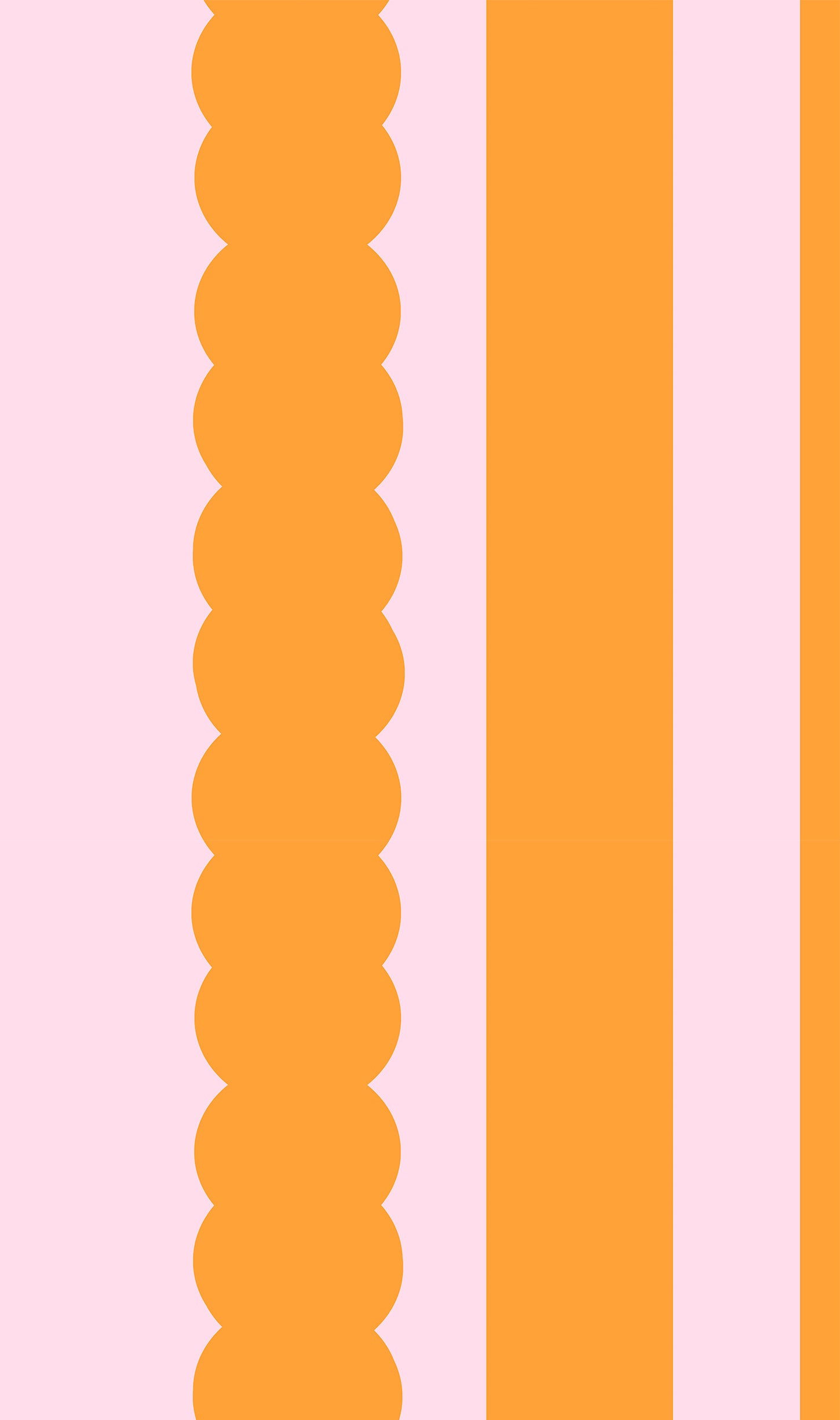 Scallop orange pink background wallpaper