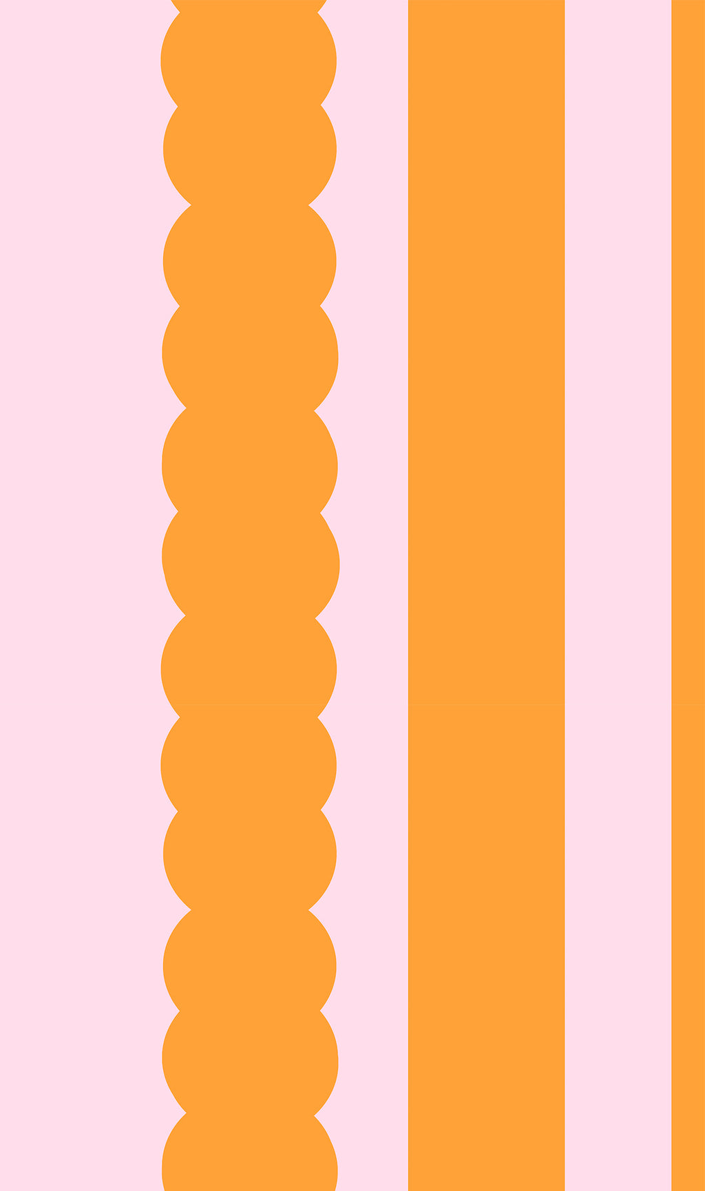 Sample orange scallop and pink background